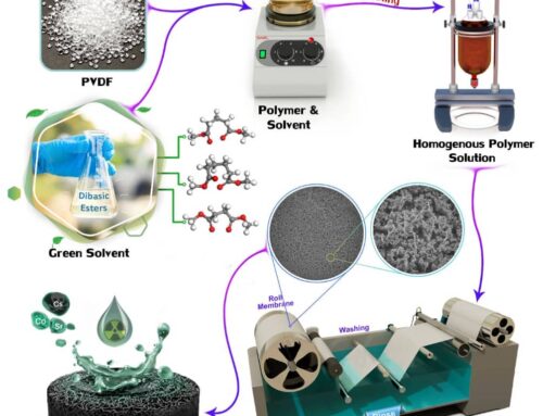 Dibasic esters as green solvents for PVDF membrane preparation