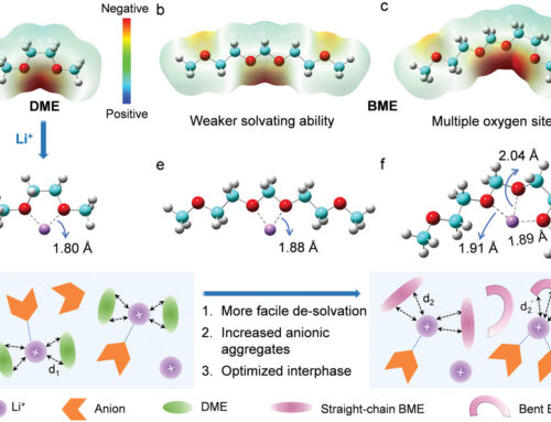 Unique Tridentate Coordination Tailored Solvation Sheath Toward Highly Stable Lithium Metal Batteries